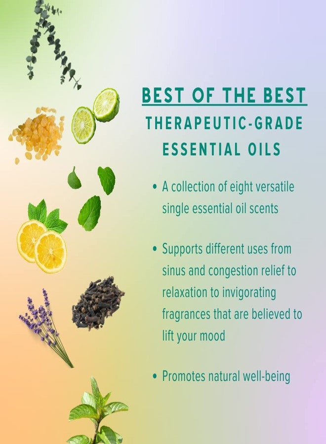 MOXE MOXĒ Nasal Inhalers Bundle, 8 Essential Oils, 100% Pure and Undiluted, Therapeutic Grade, No-Mess Portable Aromatherapy, Includes Eucalyptus, Peppermint, Lavender, Wintergreen, Made in USA - Pack of 8 - Image 4